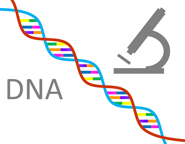 DNA Microscope