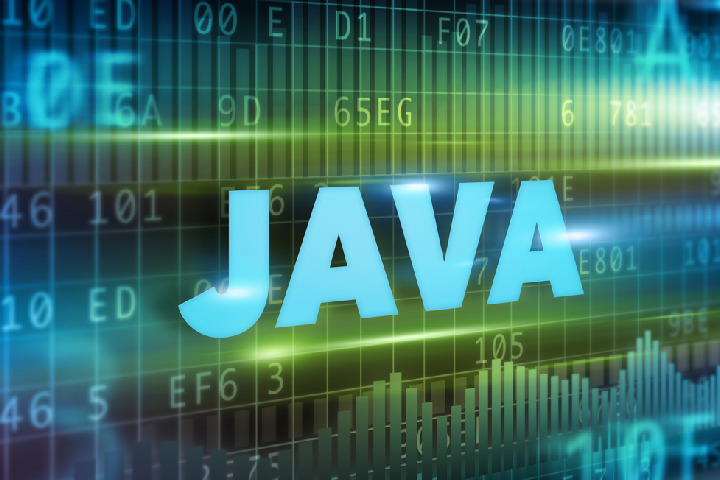 Java Programming Skills