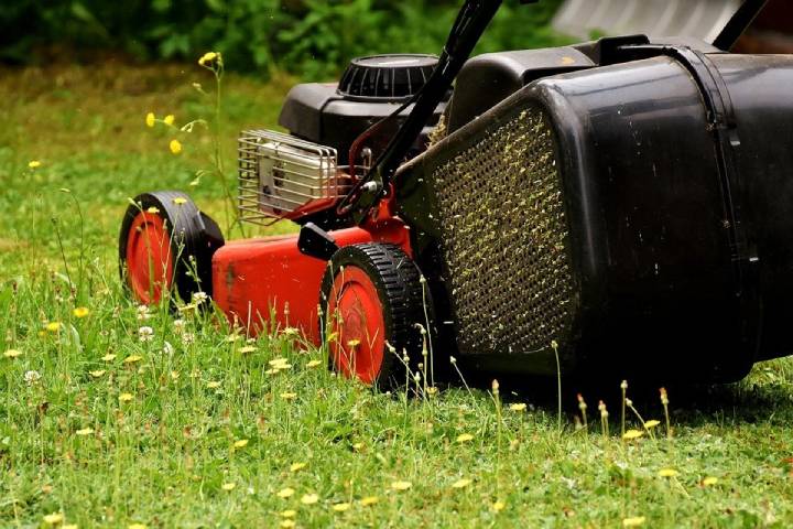 Top Advances in Lawn Care Technology